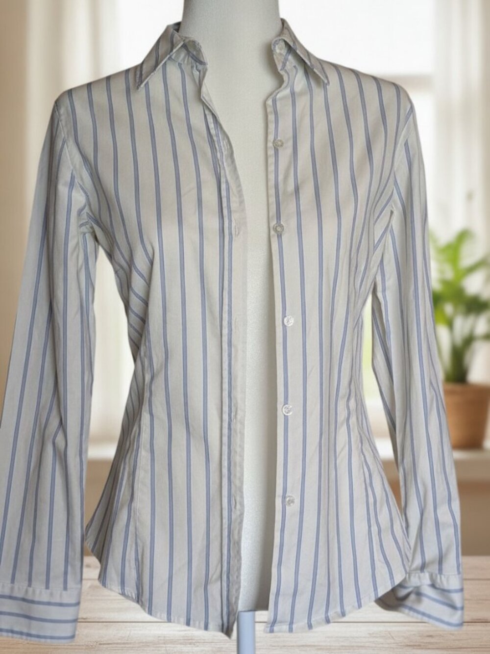 Women's Tailored Blue-Striped Button Down Shirt